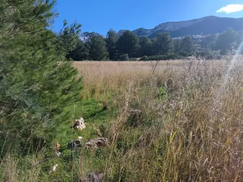 Terreno en La Sella-La Xara-Jesús Pobre