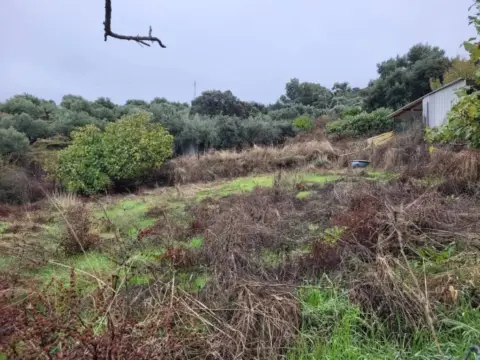 Terreno en calle Carretera Malpartida, 5M