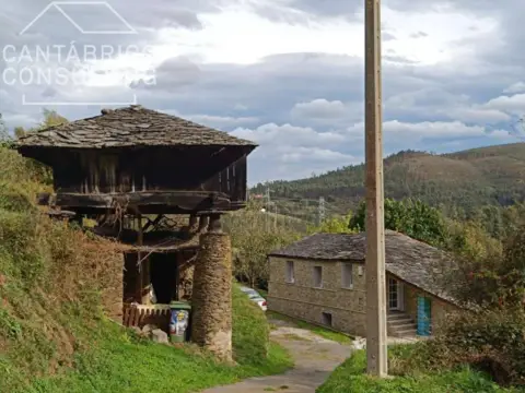 Casa adosada en Coaña