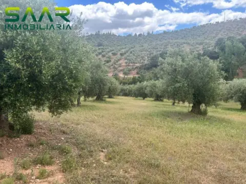 Terreno en Calicasas