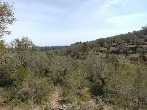 Terreno en L'Aldea