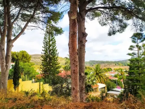 Terreno en Escandinàvia-El Captivador