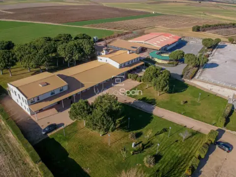 Finca rústica en Codorniz