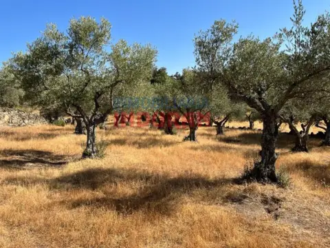 Finca rústica en Belvís de Monroy