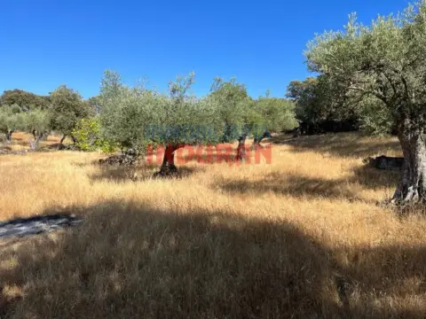 Finca rústica en Belvís de Monroy