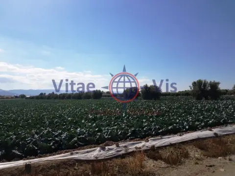 Finca rústica en calle Diseminados Lebor Alto