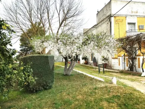 Finca rústica en San Roque-Ronda Norte
