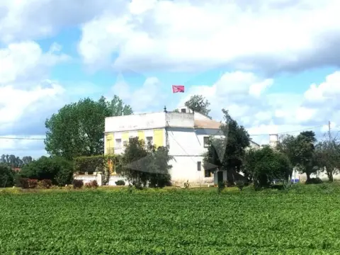 Finca rústica en San Roque-Ronda Norte