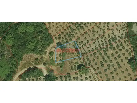 Finca rústica en Castañar de Ibor