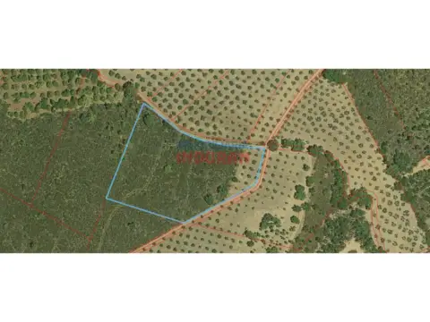 Finca rústica en Castañar de Ibor