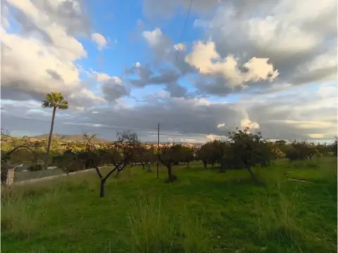 Finca rústica en Inca