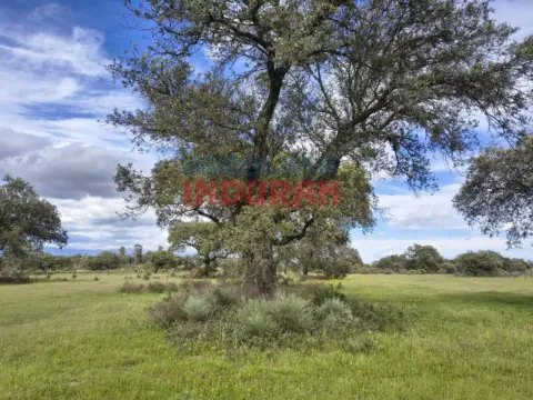 Finca rústica en Navalmoral de la Mata