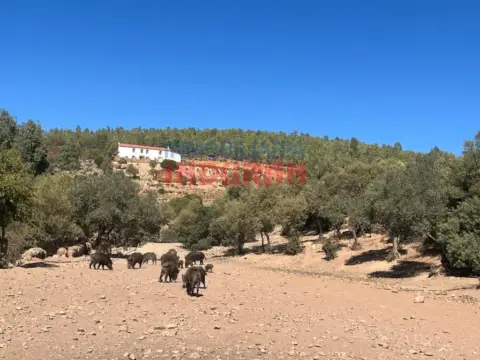 Finca rústica en Don Benito