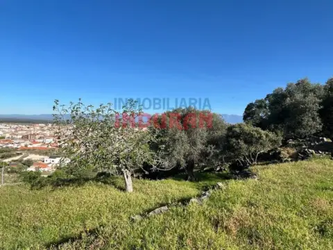 Finca rústica en Navalmoral de la Mata