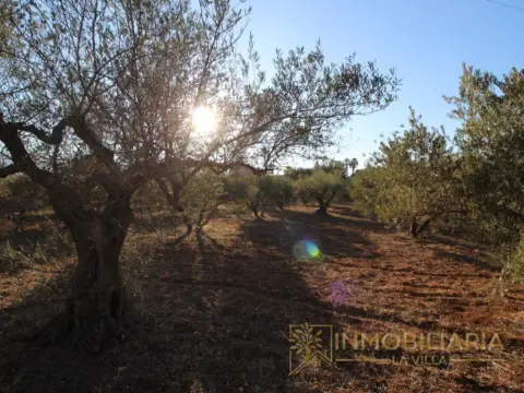 Terreno en La Alquería-Torrealquería