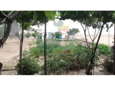 Finca rústica en Sur