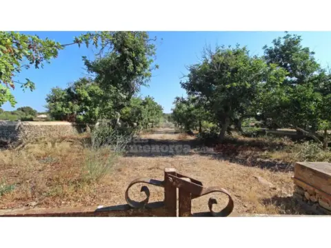 Finca rústica en Alaior