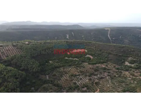 Finca rústica en Castañar de Ibor