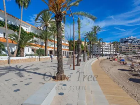 Apartamento en S'Eixample-Can Misses