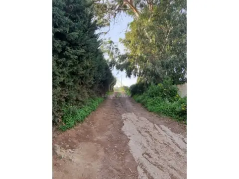 Finca rústica en Área de Casares