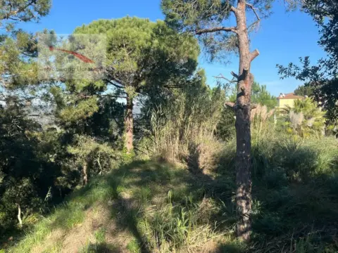Terreno en Carrer de les Roselles, 29