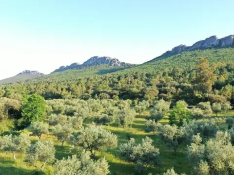 Finca rústica en Valencia de Alcántara