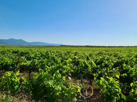 Finca rústica en Jumilla