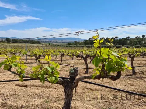Finca rústica en Jumilla