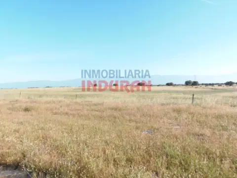 Finca rústica en Navalmoral de la Mata