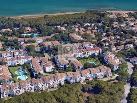 Casa en calle Pino Real, 24