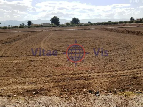 Terreno en calle Camino de Enmedio (Tercia La)