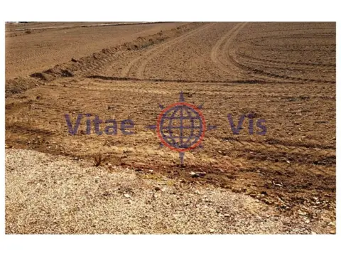 Terreno en calle Camino de Enmedio (Tercia La)