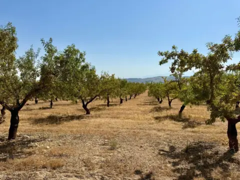 Finca rústica en Alhama de Granada