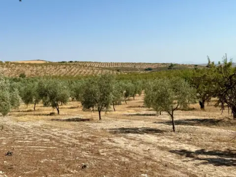 Finca rústica en Alhama de Granada