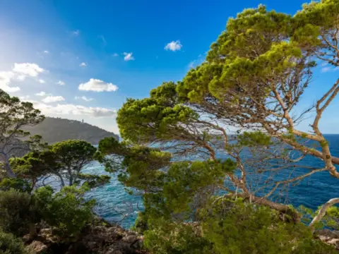 Apartamento en Sóller