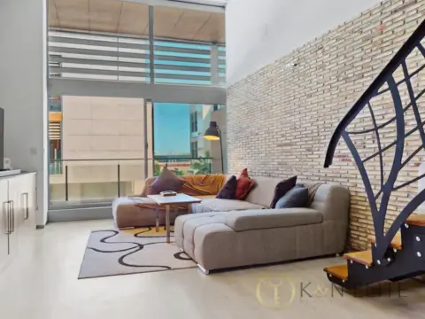 Loft en Nou Moles