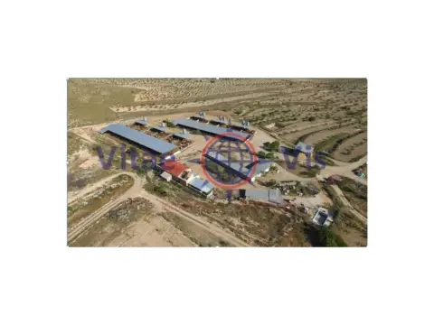 Finca rústica en calle del Cura