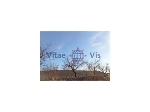 Finca rústica en calle del Cura