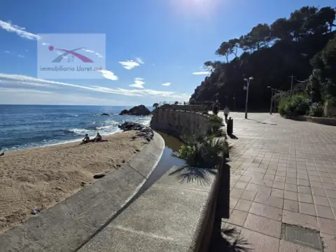 Local comercial en El Rieral-Can Sabata