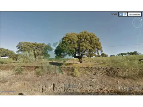 Finca rústica en Alcántara