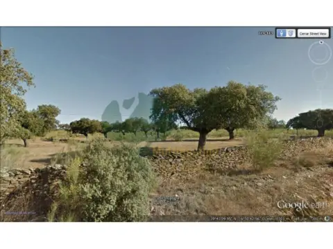 Finca rústica en Alcántara