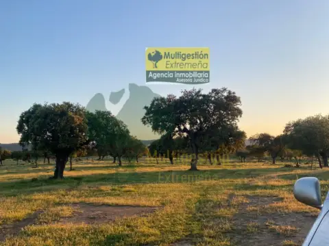 Finca rústica en Centro
