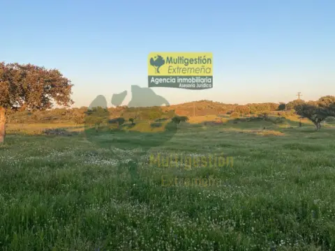 Finca rústica en Centro