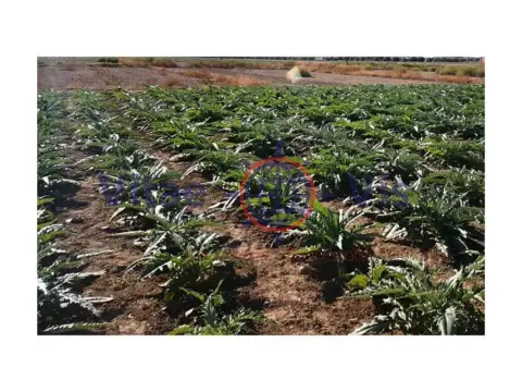 Terreno en calle calle 2 Campillo S-1T (Campillo)