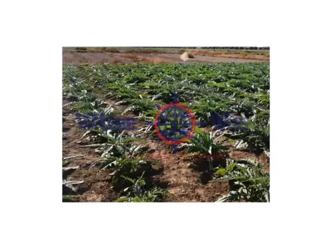 Terreno en calle calle 2 Campillo S-1T (Campillo)