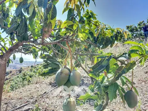 Terreno en Camino Viejo de Málaga
