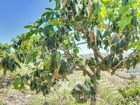 Terreno en Camino Viejo de Málaga