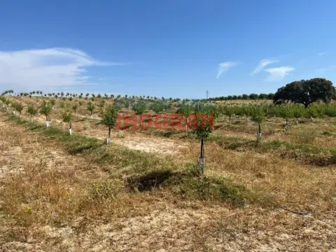 Finca rústica en Belvís de Monroy