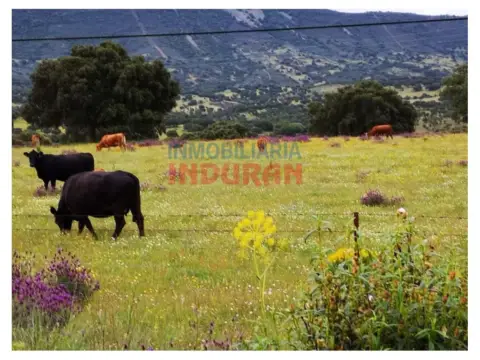 Finca rústica en Alía