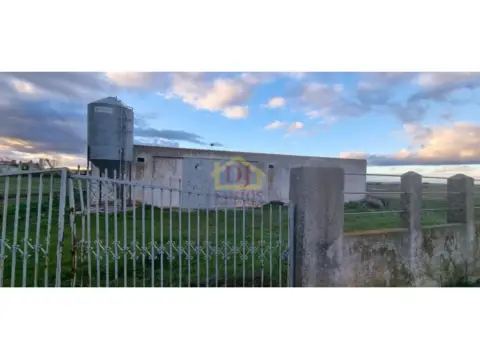 Nave industrial en San Cristóbal de La Cuesta